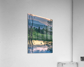 Evening Bath Acrylic Print