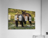 I Got Your Back Acrylic Print