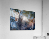 Say Cheese Acrylic Print