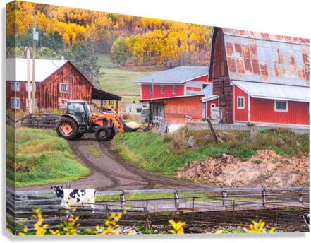 Working the Farm Canvas Print