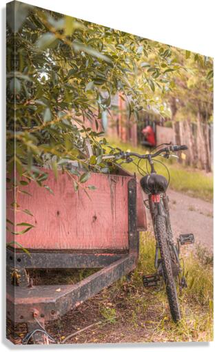 The Back Lane Bicycle Canvas Print
