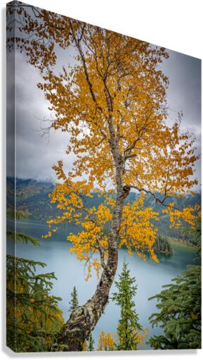 Lake Azouzetta Canvas Print
