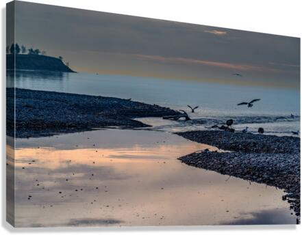 Newcastle Ontario Canvas Print