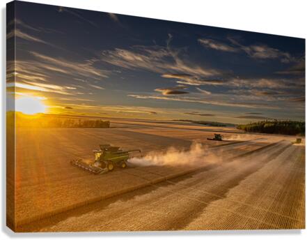 Harvesting at Sunset Canvas Print