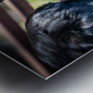 Getting to Know Each Other Metal print