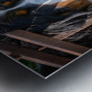 Burnese Metal print