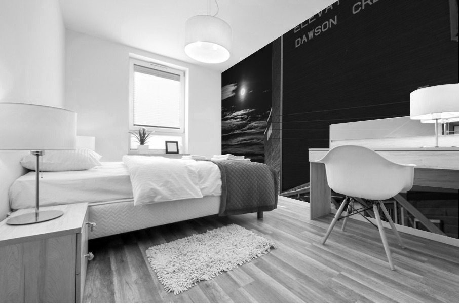 Grain Elevator BW Mural print