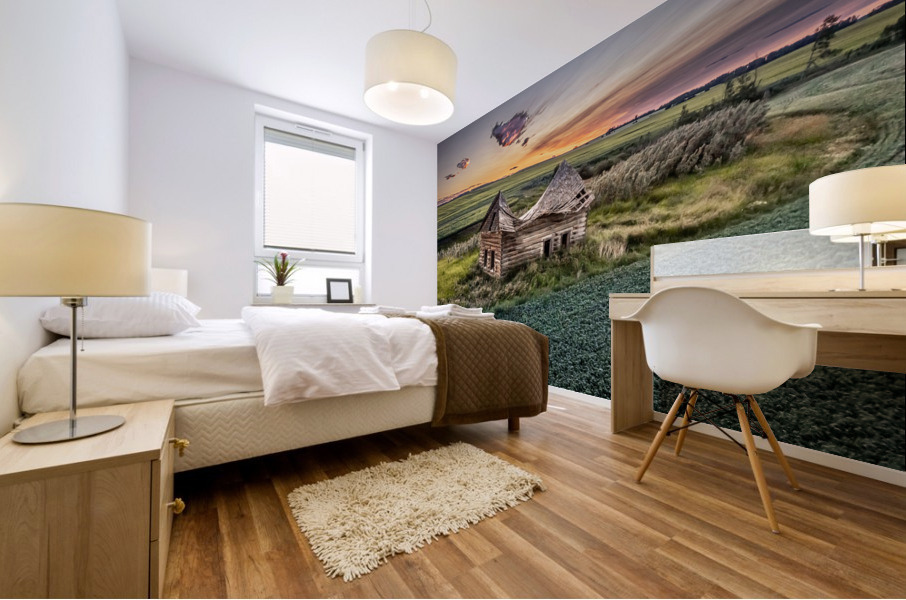 Saddle Roof Mural print