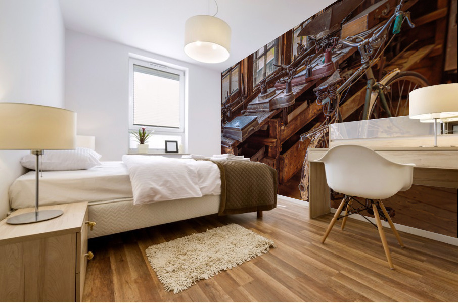 The Bicycle Mural print