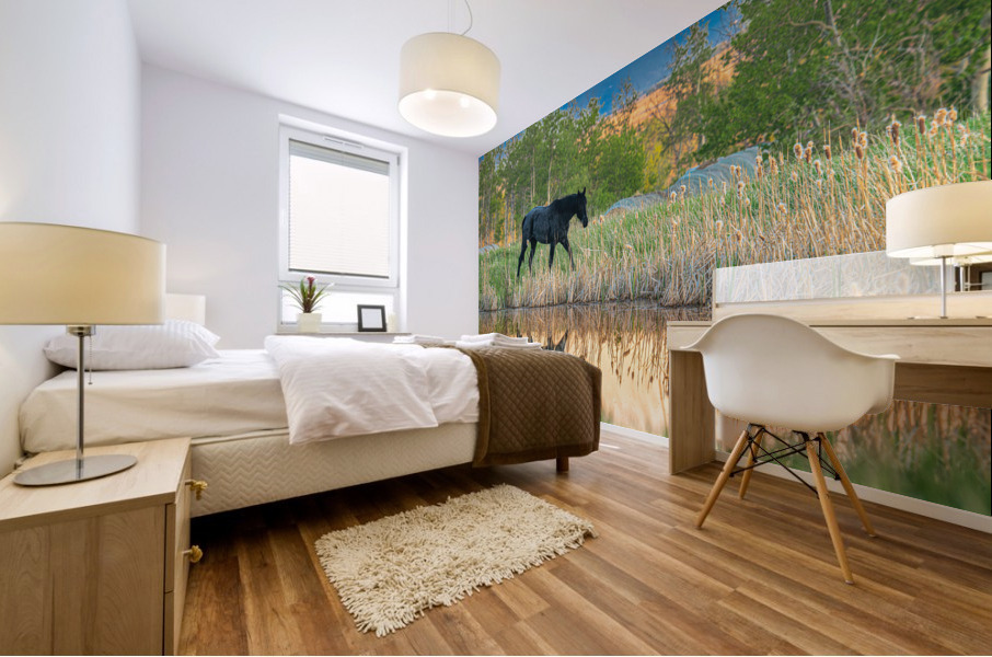 Horse Reflection Mural print