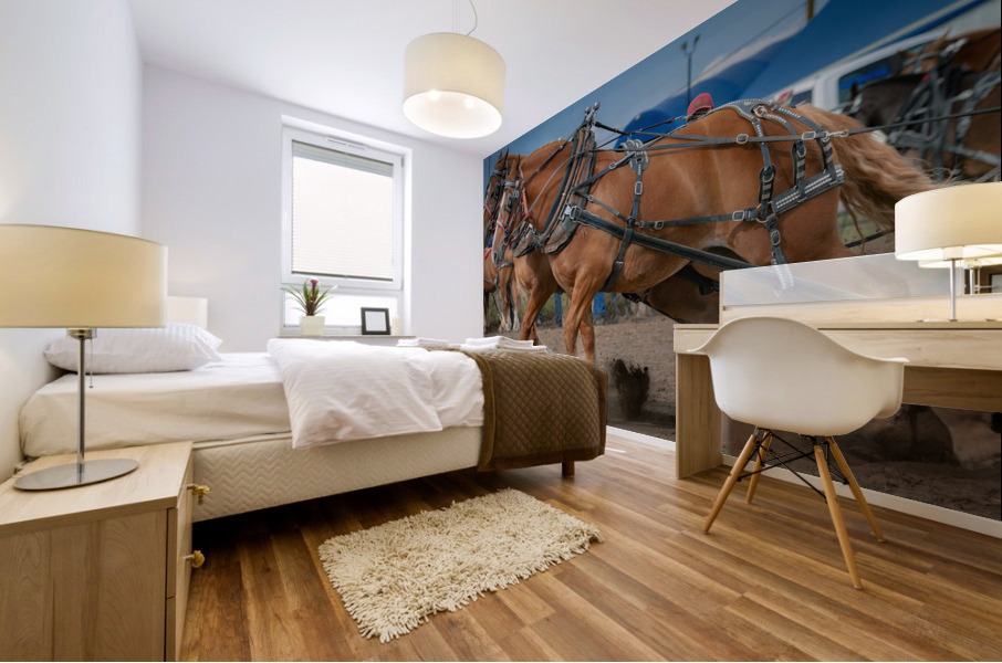 Horsepower Mural print