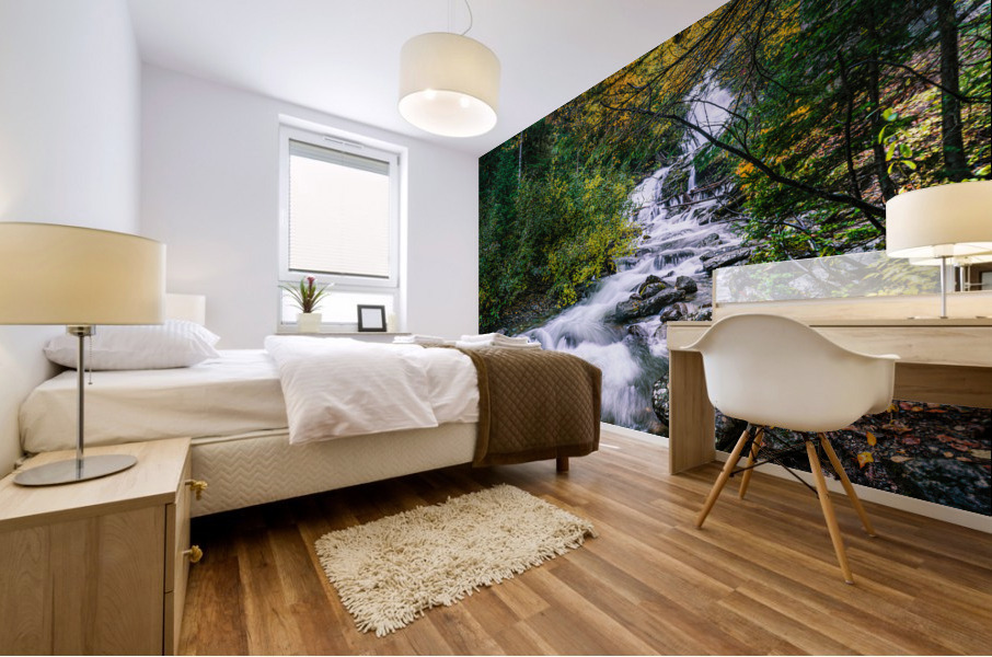 Bijoux Falls Mural print