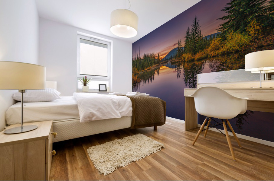 Bullmoose Marsh Mural print
