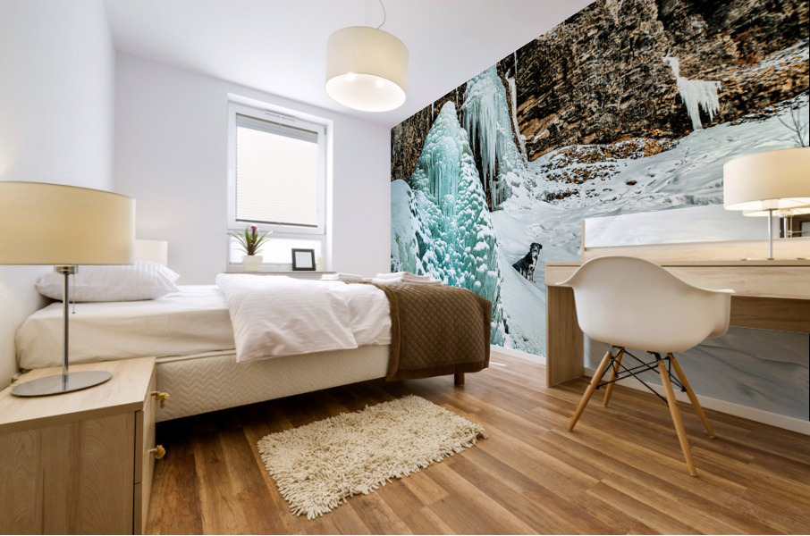 Frozen Falls Mural print