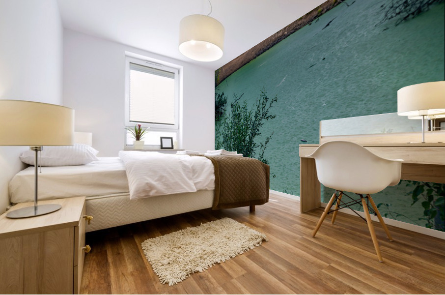 Green Pond Mural print