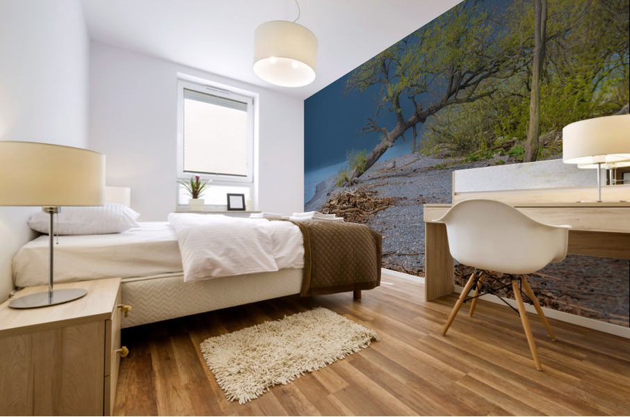 Newcastle Beach Mural print