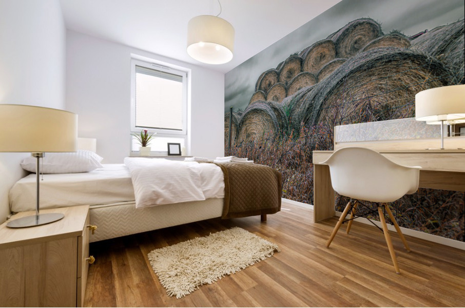 Round Bales Mural print