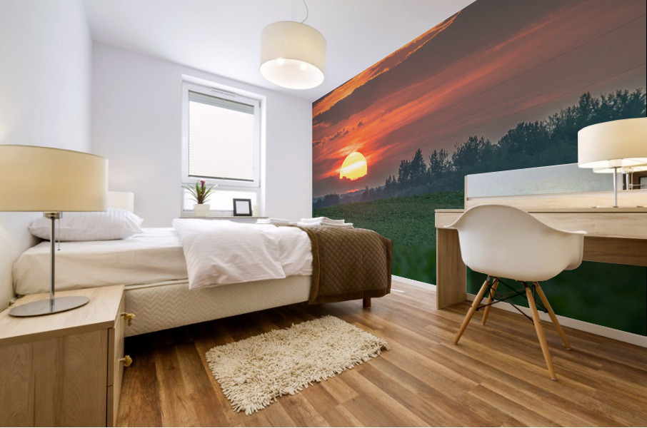 Setting Sun Mural print