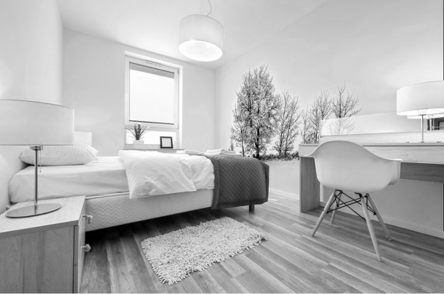 Trees BW Mural print