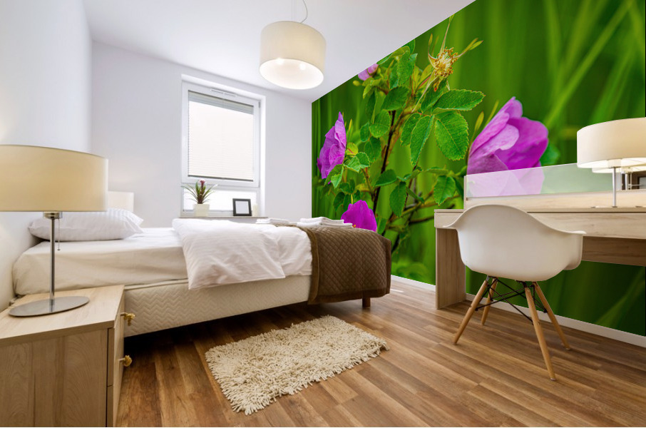 Wild Roses Mural print