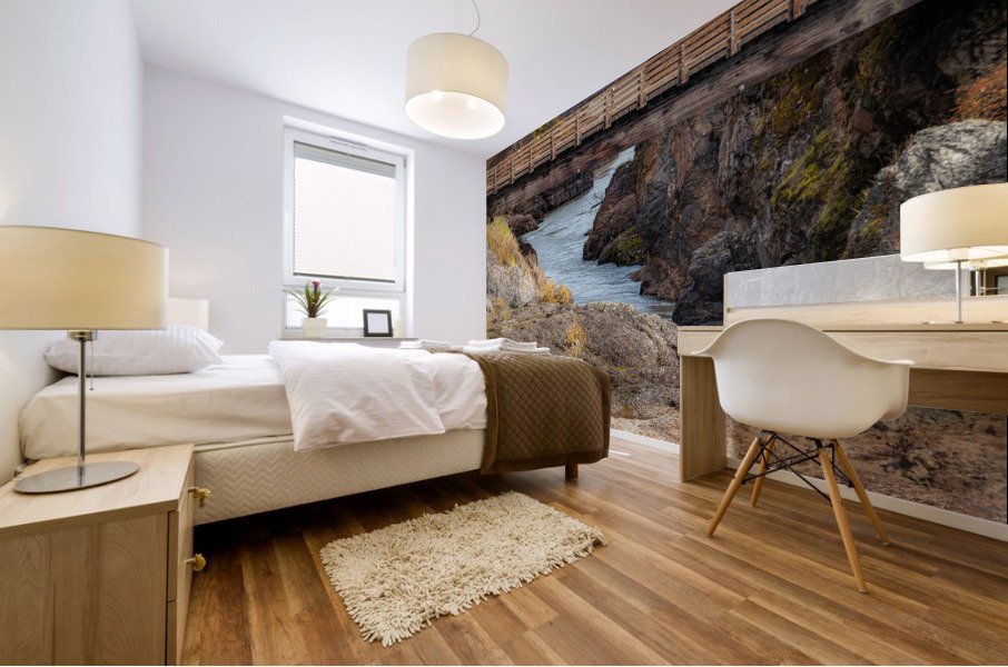 Exploring the Canyon Mural print