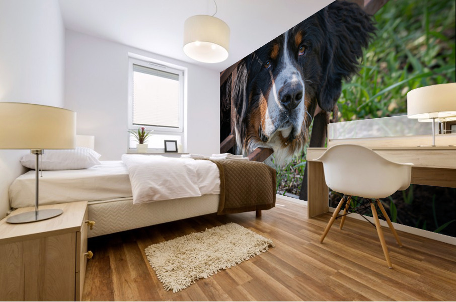 Burnese Mural print