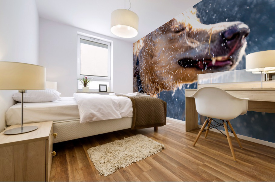 Shakin  All Over Mural print