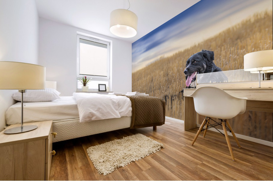 Resting Mural print
