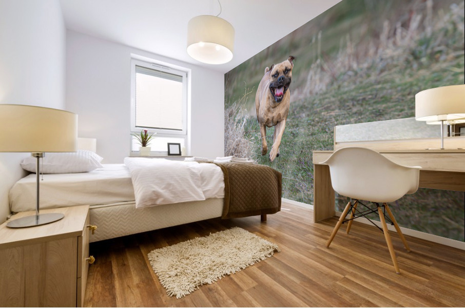 Smiley Mural print