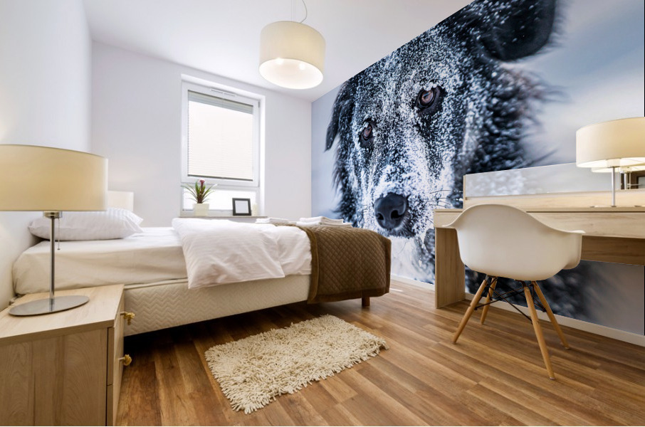 Winter Dog Mural print