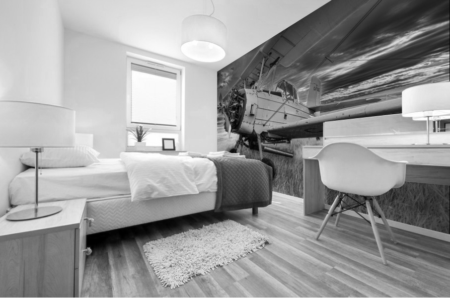 Crop Duster Mural print