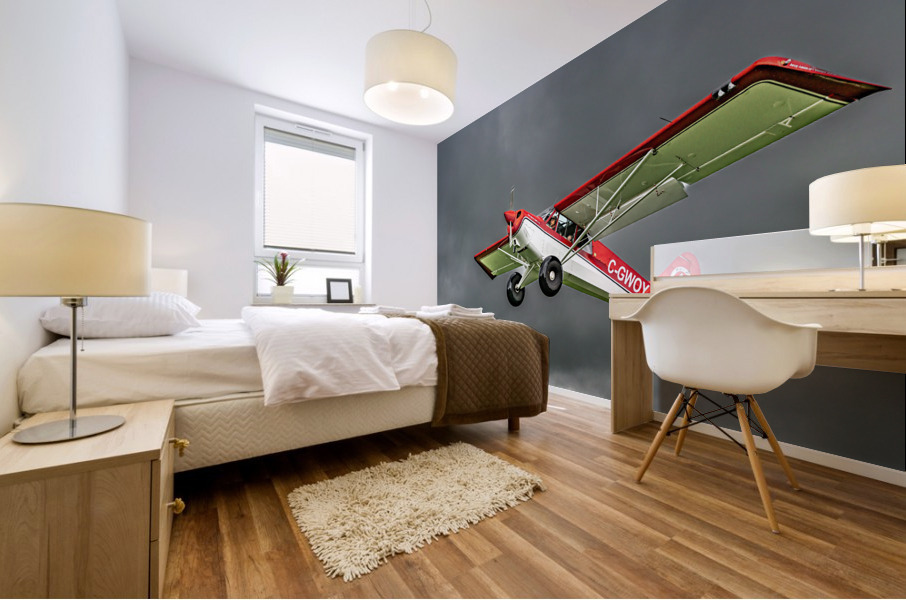 Gaining Altitude Mural print
