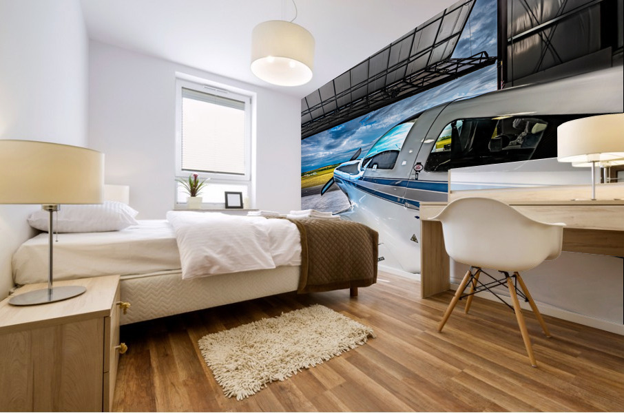 Inside the Hangar Mural print