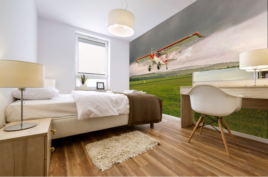 Take Off Mural print