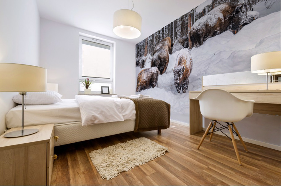 Bison Herd Mural print