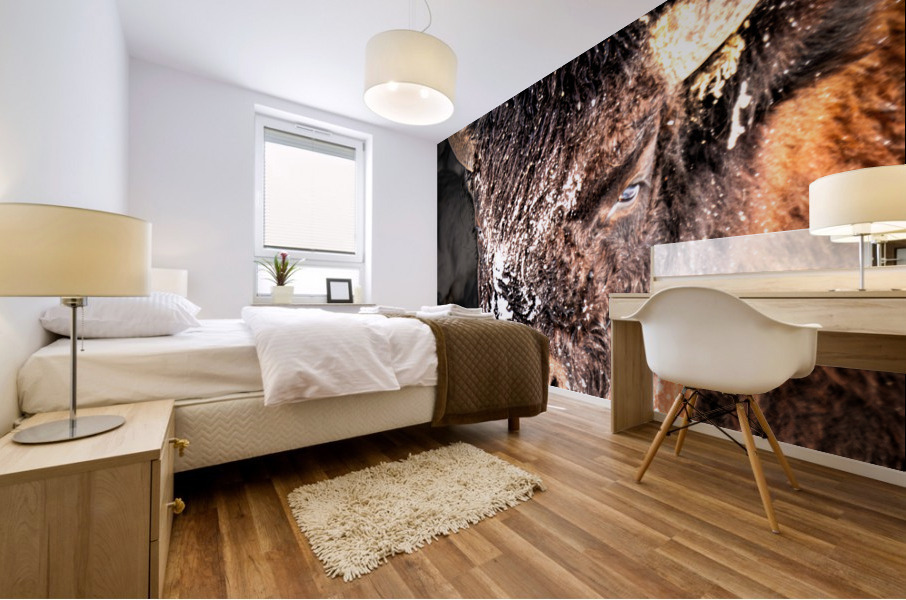 Bison Portrait Mural print