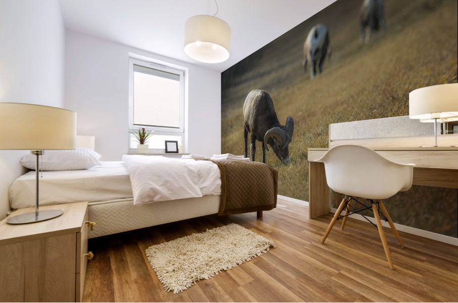 Grazing Mural print