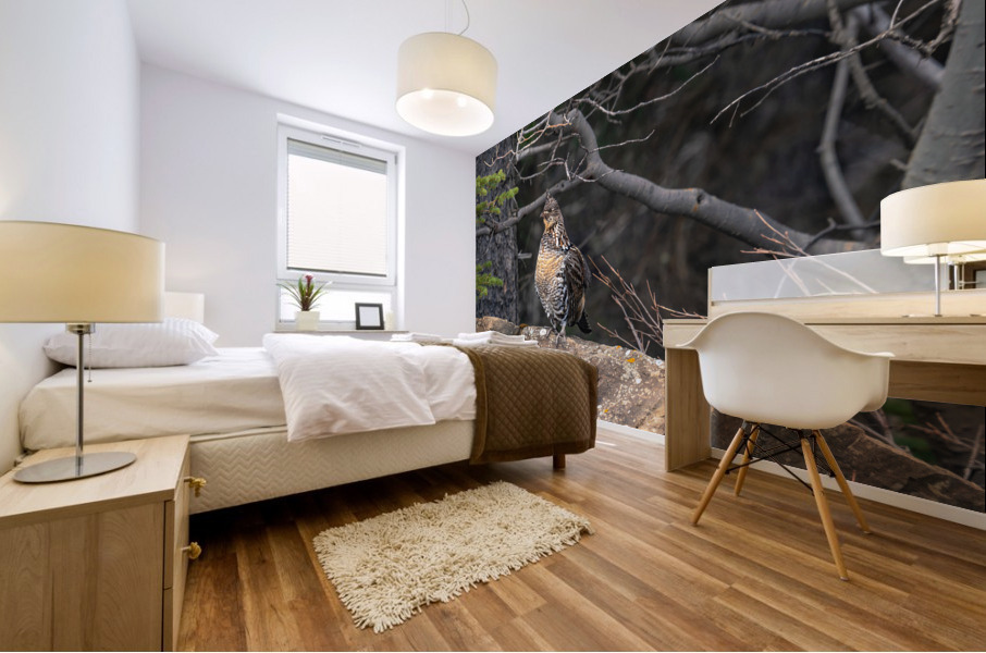 Grouse Mural print