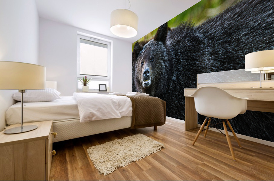 Grizzly Close up Mural print