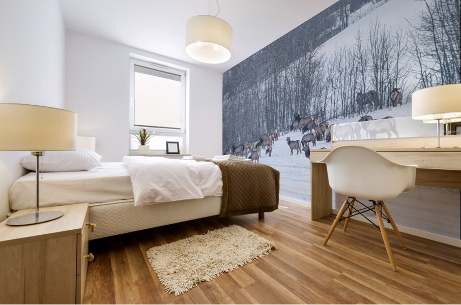 Elk Herd Mural print