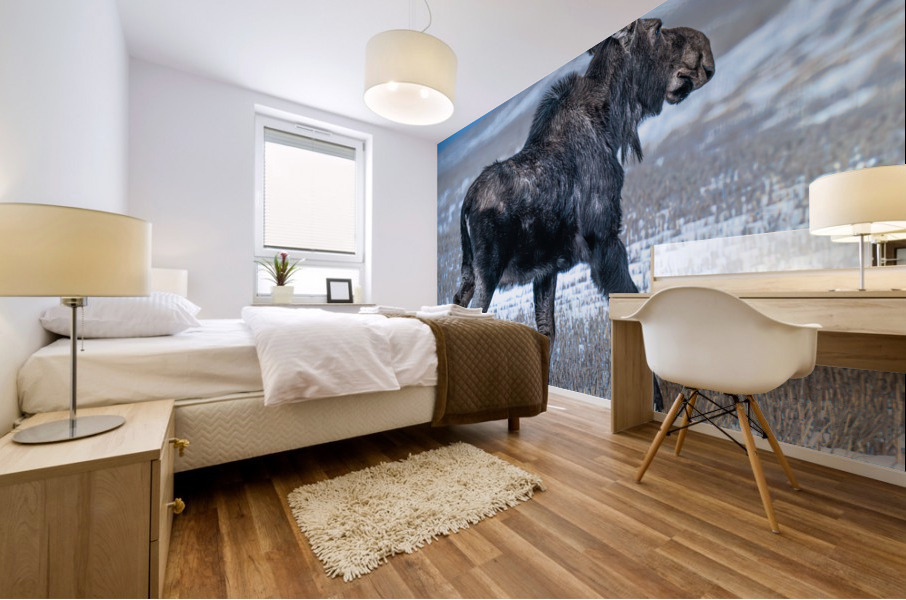 Moose in Open Field Mural print