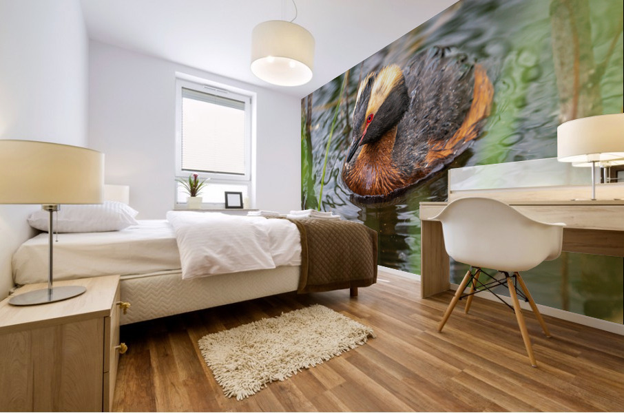 Horned Grebe Mural print