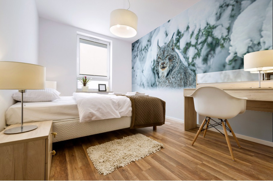 Lynx Mural print