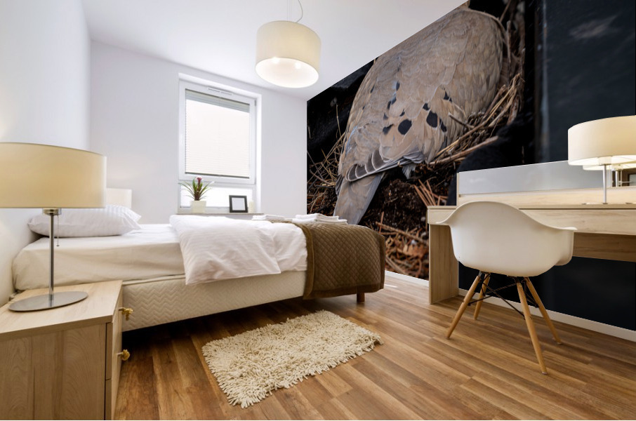 Nesting Pidgeon Mural print