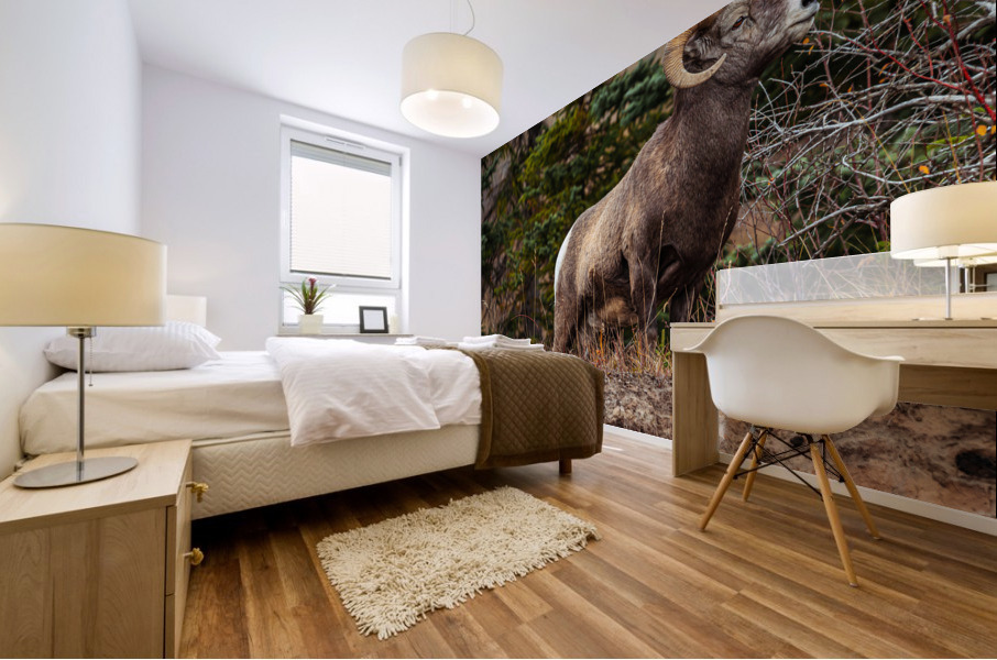 Ram Mural print