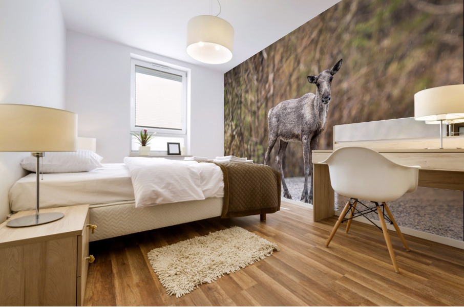 Young Elk Mural print