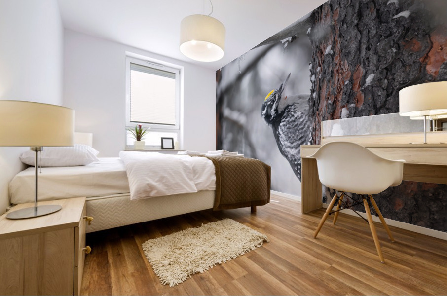 Woodpecker Mural print