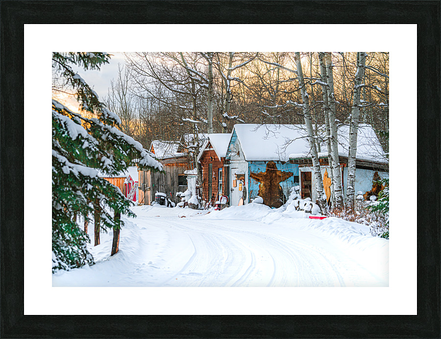 Bearskin Picture Frame print