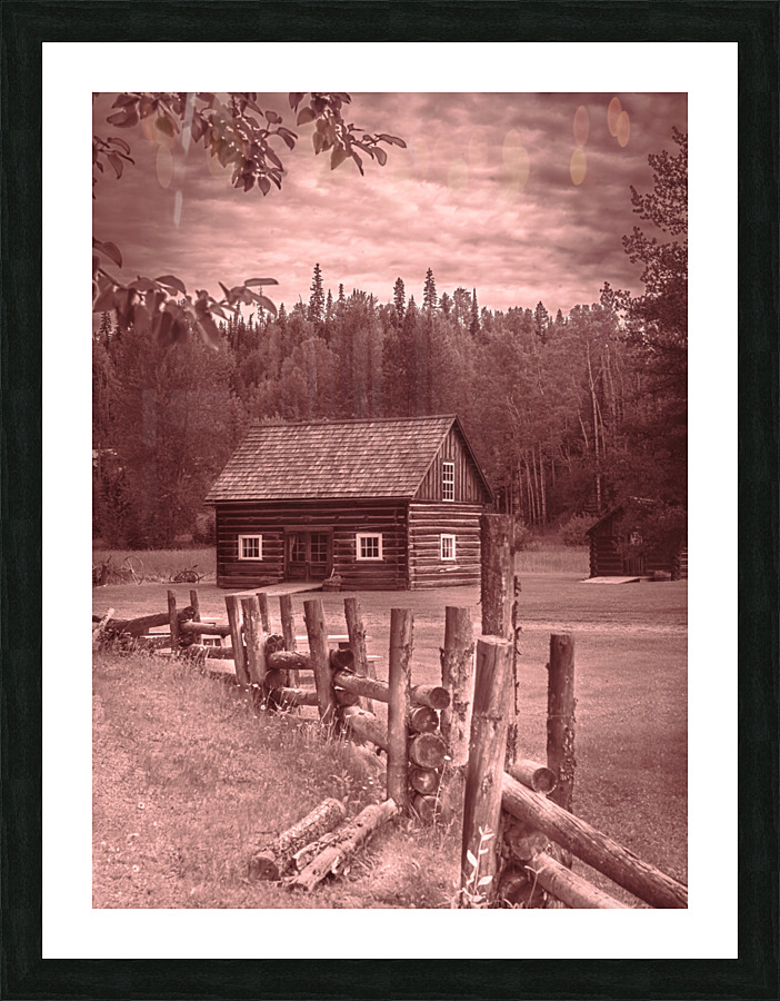 Cottonwood Picture Frame print