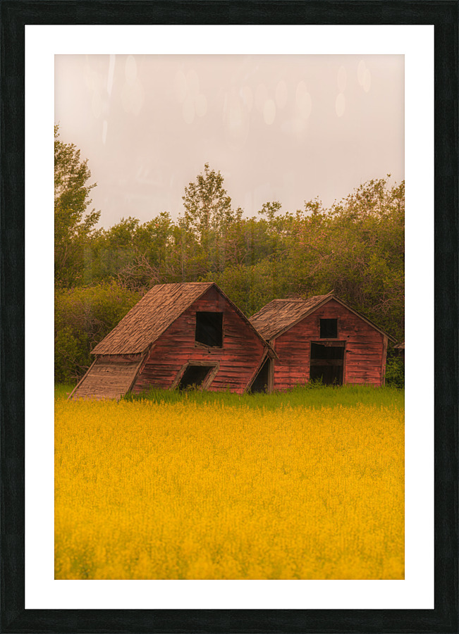 Lean On Me Picture Frame print